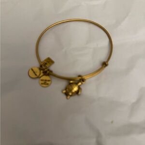 Alex and Ani turtle bracelet